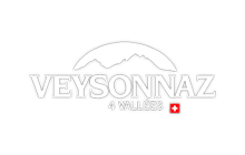 fragnière sports - magasin, sport, location, vente, réparation, entretien, ski, snowboard, veysonnaz, valais, suisse